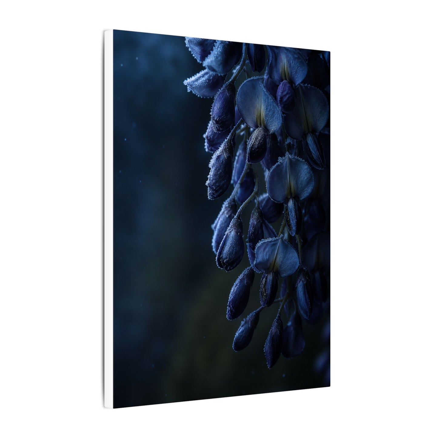 Winter Wisteria Shadow Zen Canvas Art | Atmospheric Decor