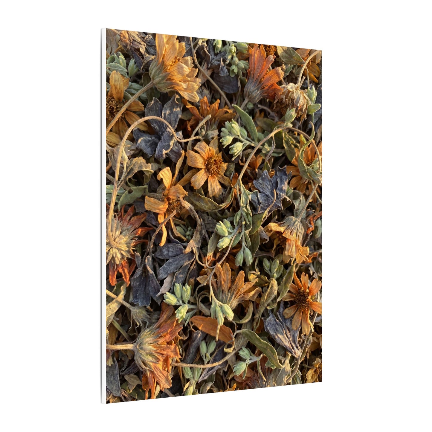 Spring Dried Flowers Japanese Pattern Canvas Art | Warm Decor