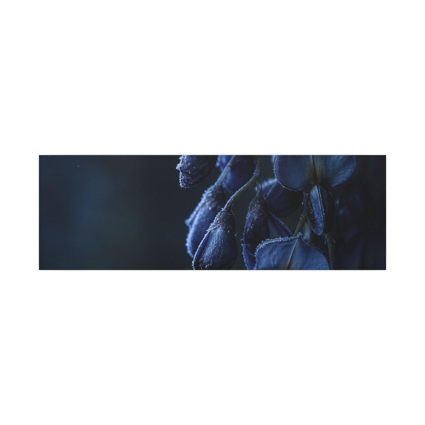Winter Wisteria Shadow Zen Canvas Art | Atmospheric Decor