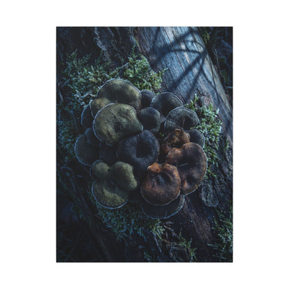 Wild Mushrooms Moody Minimal Canvas Art | Moody Dark Japandi Art