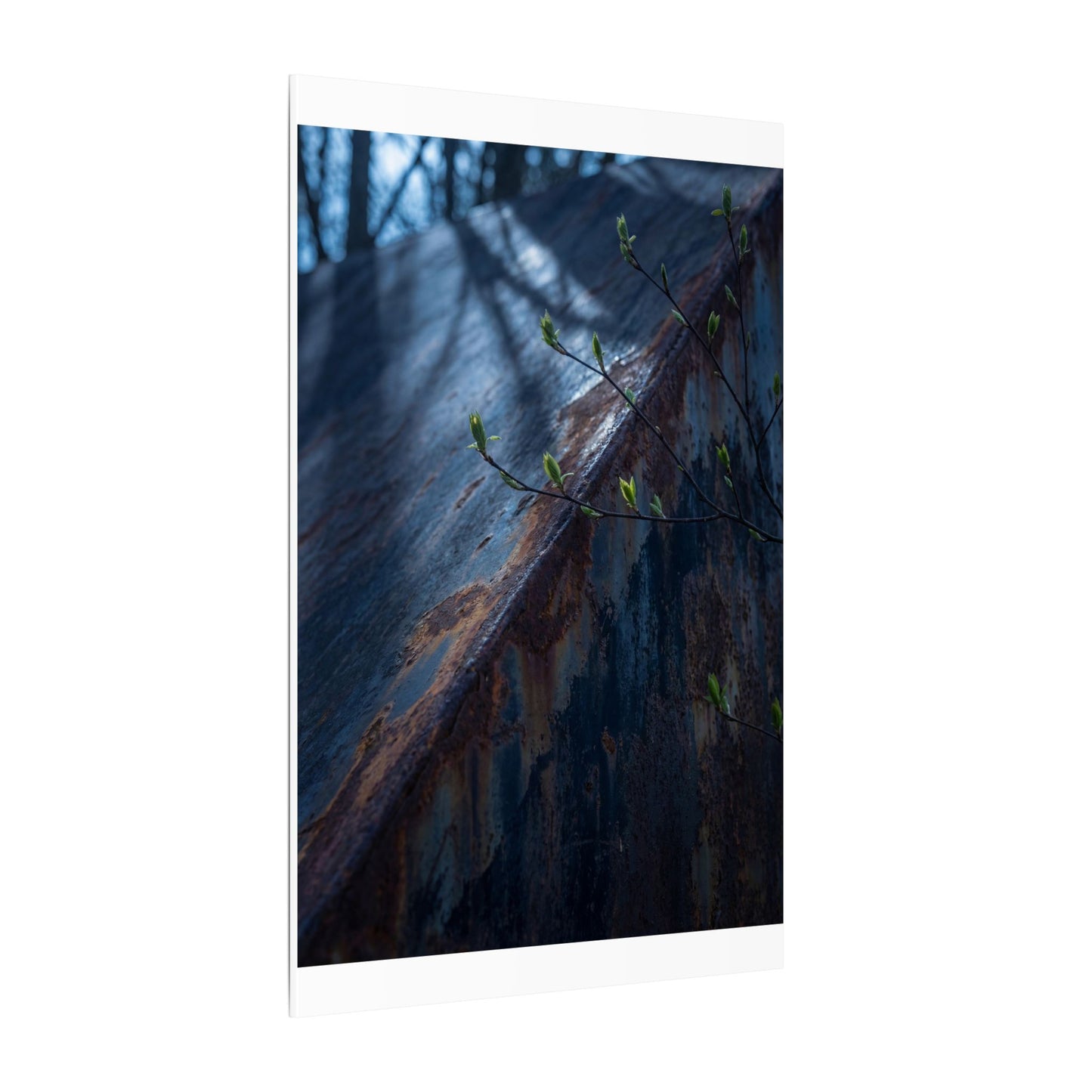 Rust Patina Canvas Art | Spring Dark Japandi Shadow Zen Art