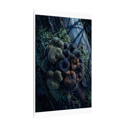 Wild Mushrooms Moody Minimal Canvas Art | Moody Dark Japandi Art