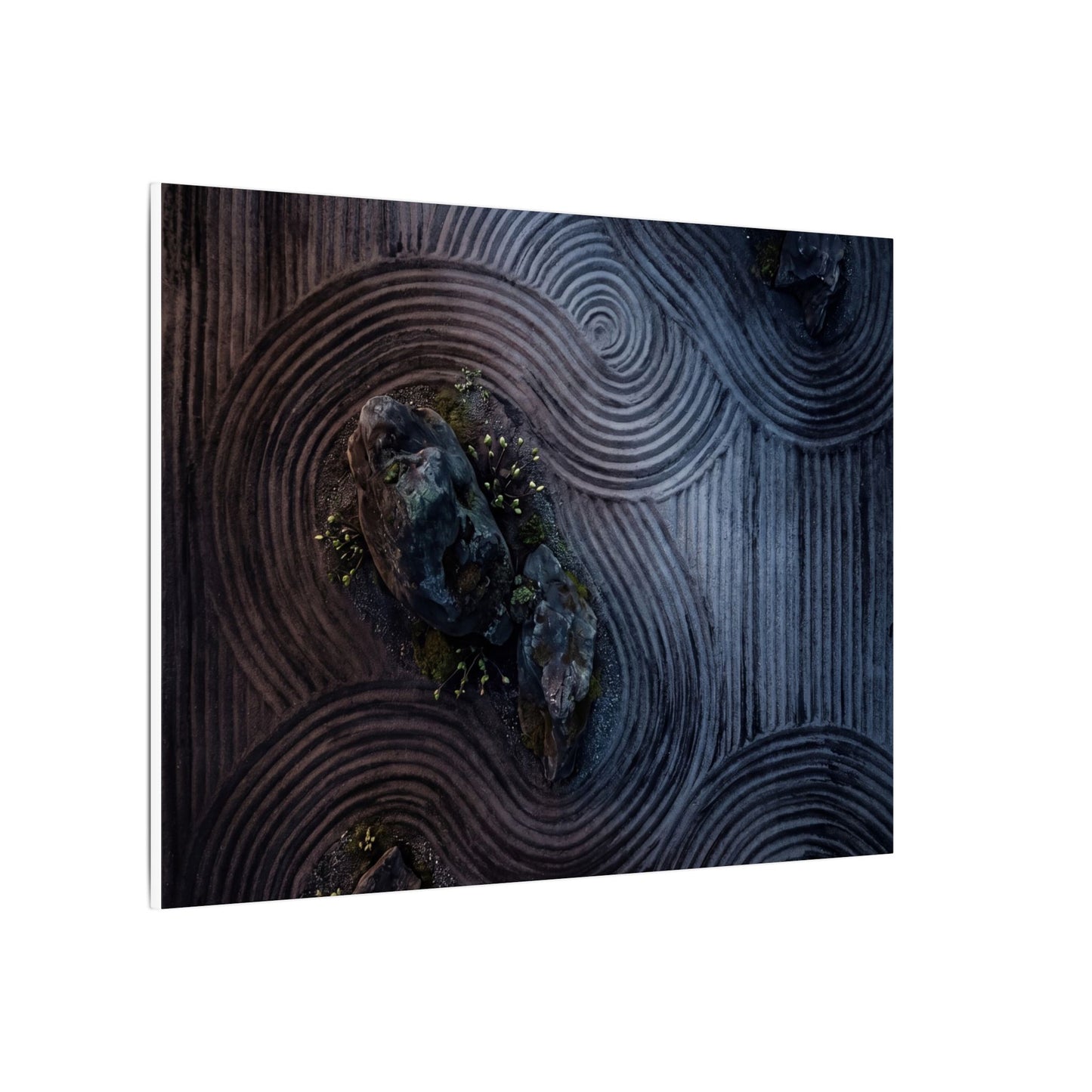 Spring Rock Garden Charcoal Ink Canvas Art | Bold Decor