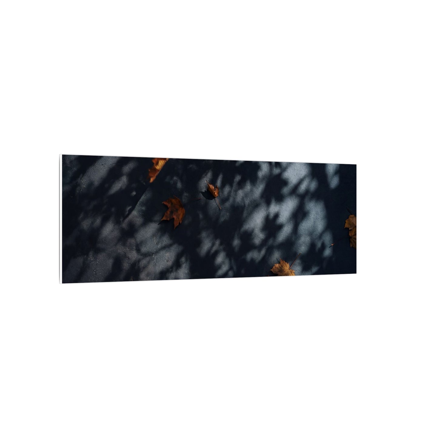 Autumn Shadow Play Shadow Zen Canvas Art | Atmospheric Decor