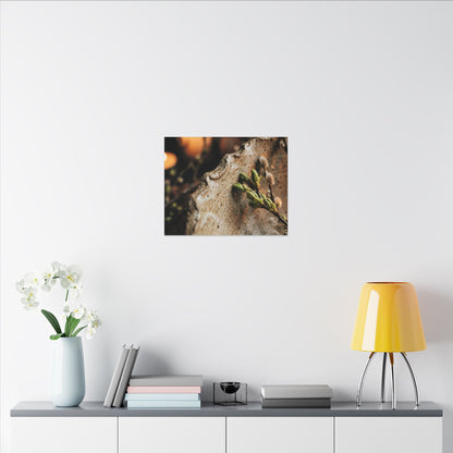 Overcast Ceramic Bowl Canvas Art - Japandi Ma