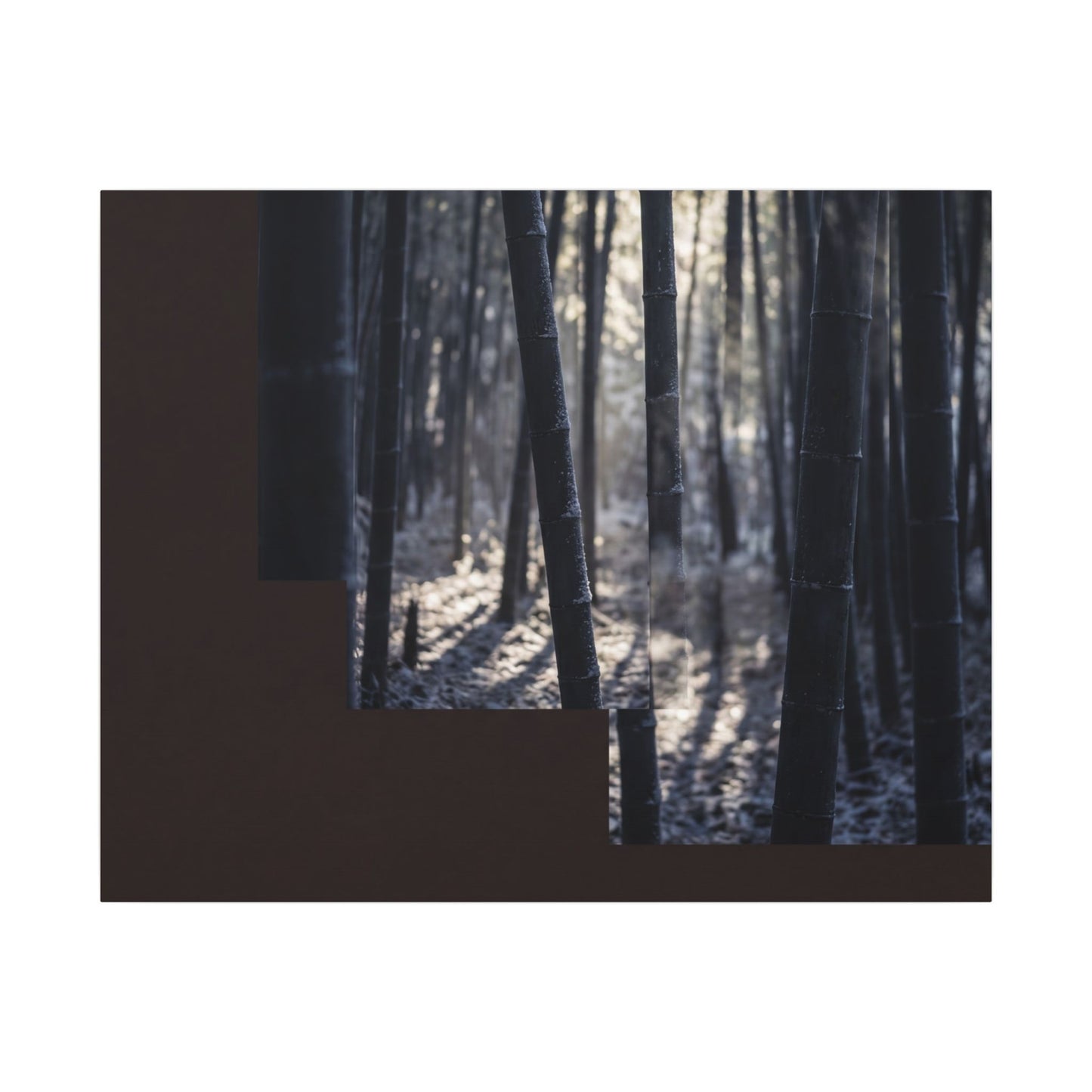 Bamboo Grove Canvas Art | Winter Dark Japandi Moody Minimal Art