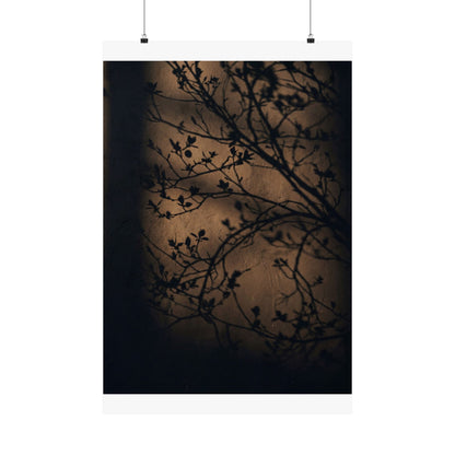 Sophisticated Shadow Play Wall Art Print - Shadow Zen Dark Japandi Art Print