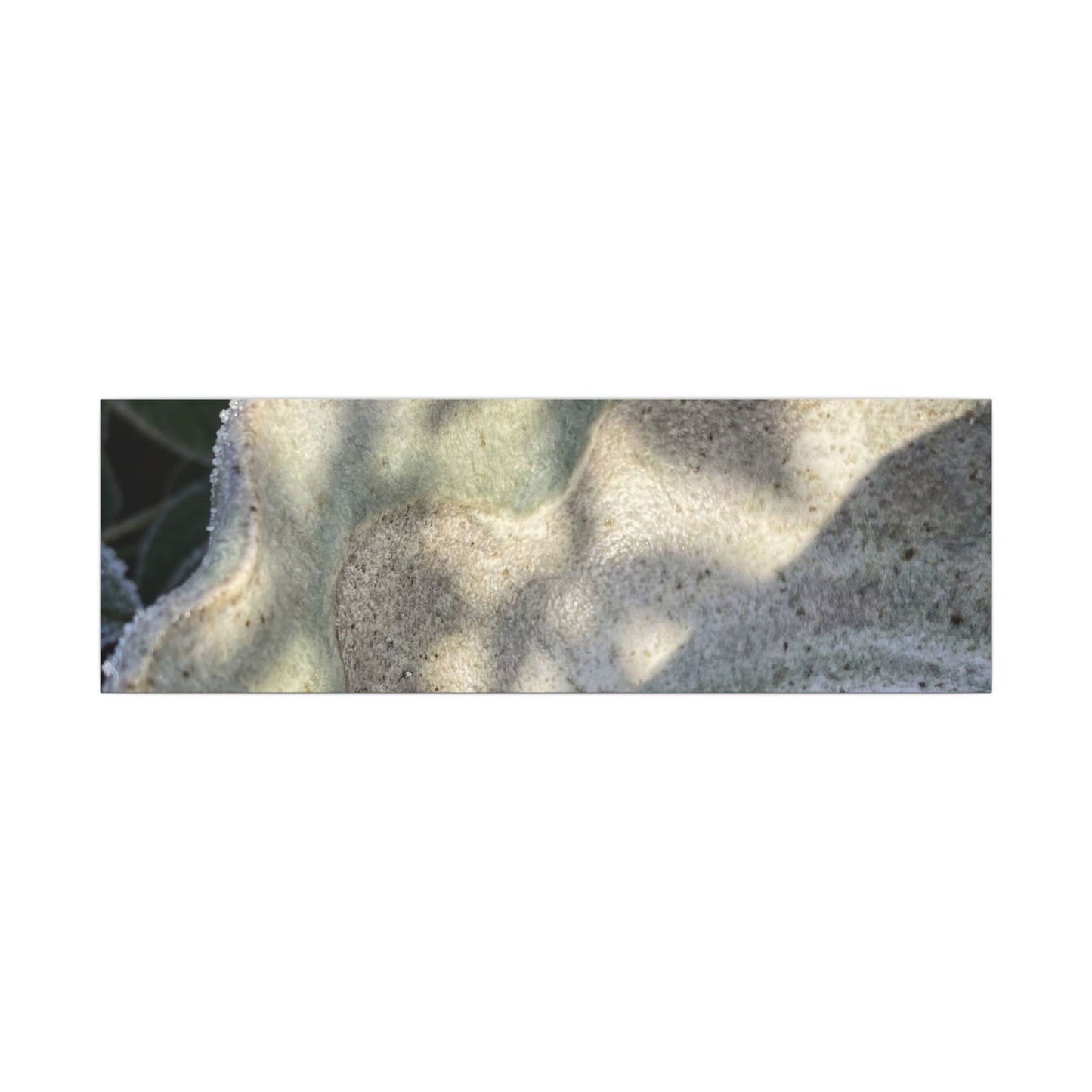 Dappled Ceramic Bowl Canvas Art - Japandi Seijaku