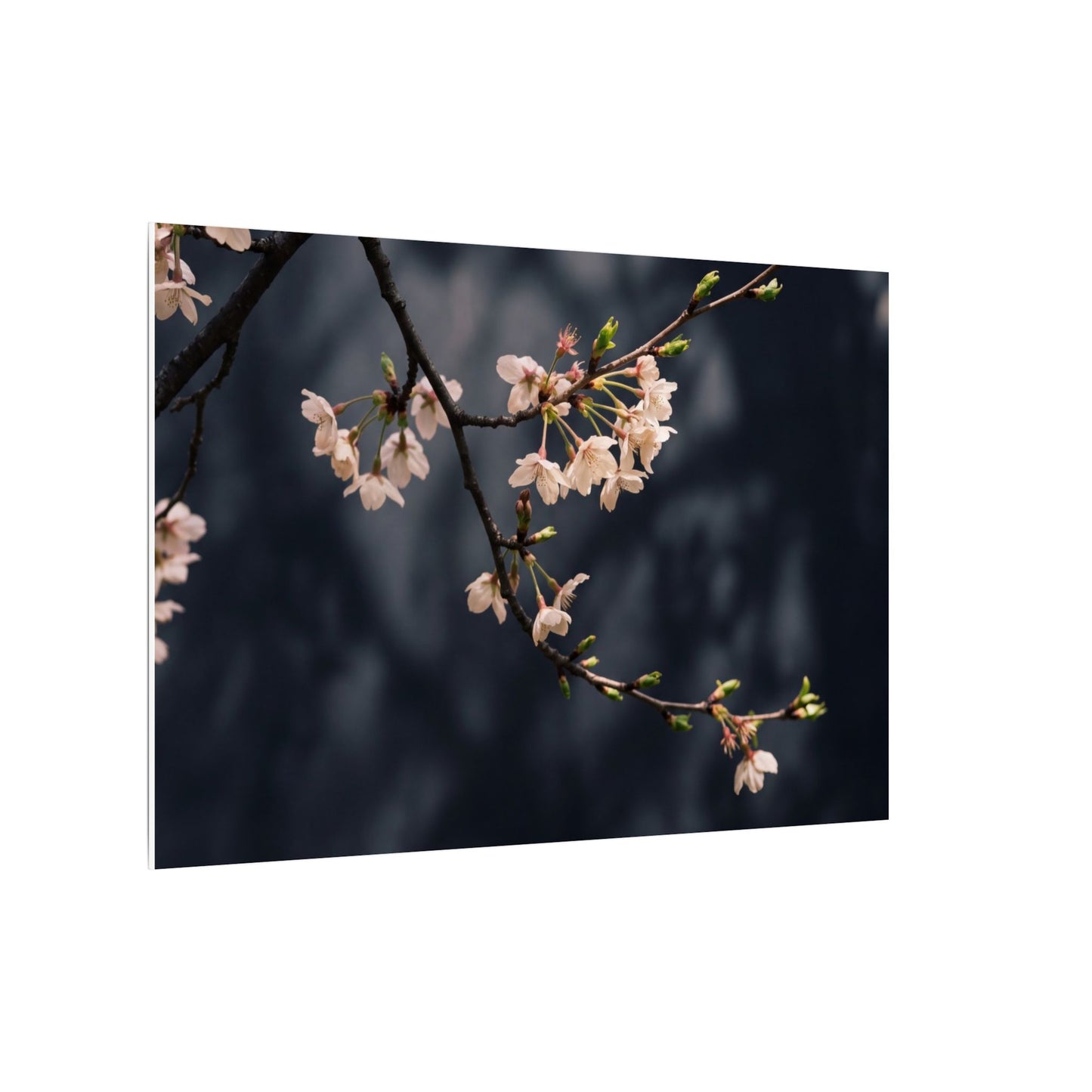 Cherry Blossom Moody Minimal Canvas Art | Bold Dark Japandi Art