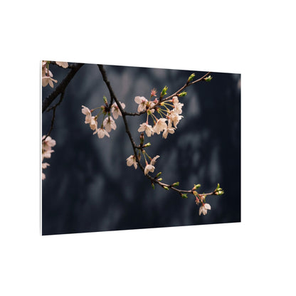 Cherry Blossom Moody Minimal Canvas Art | Bold Dark Japandi Art