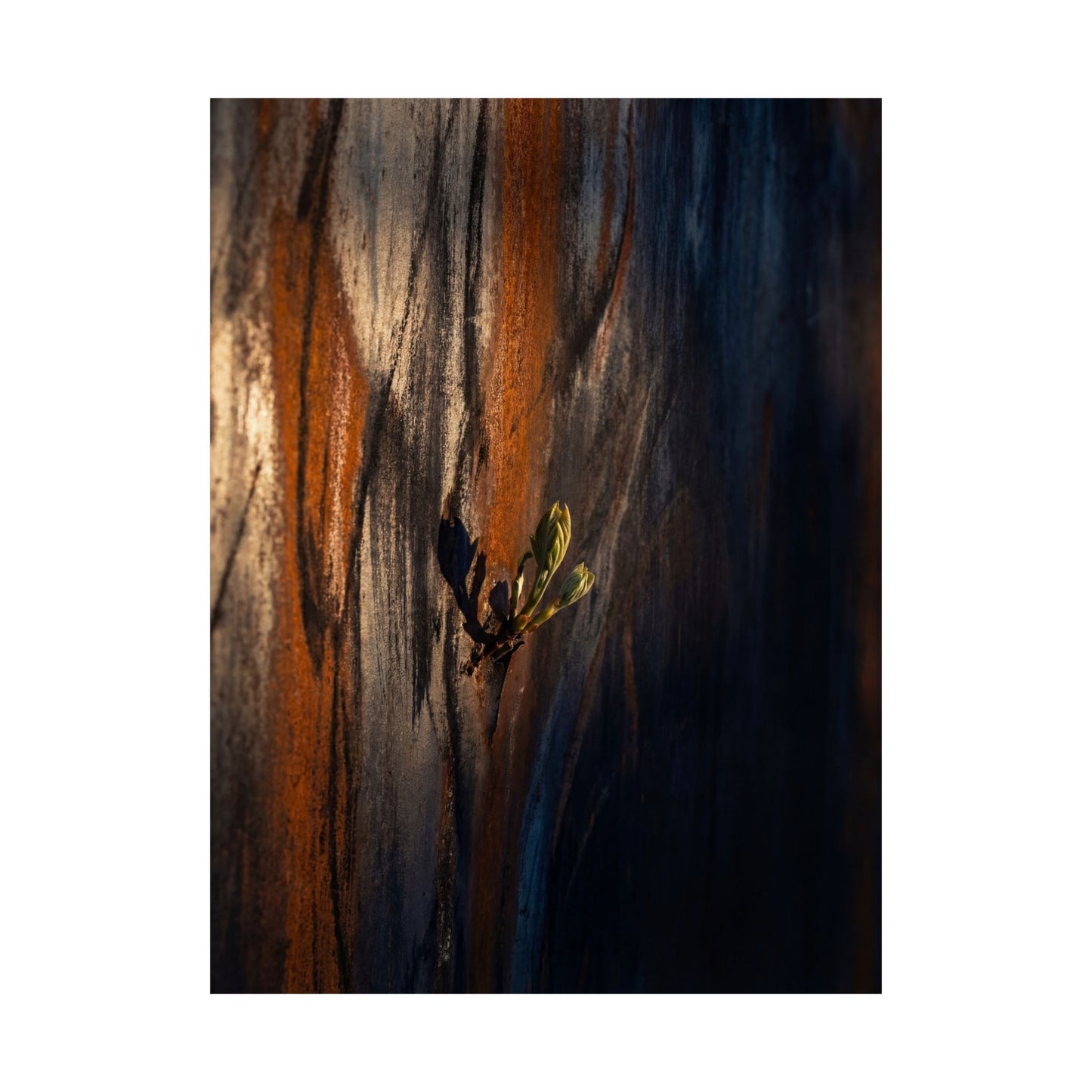Rust Patina Spring Wall Art Print | Dark Japandi Sophisticated Design