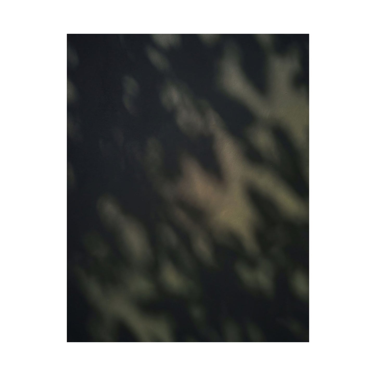 Dappled Shadow Play Wall Art Print - Dark Japandi Ma