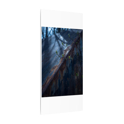 Rust Patina Canvas Art | Spring Dark Japandi Shadow Zen Art