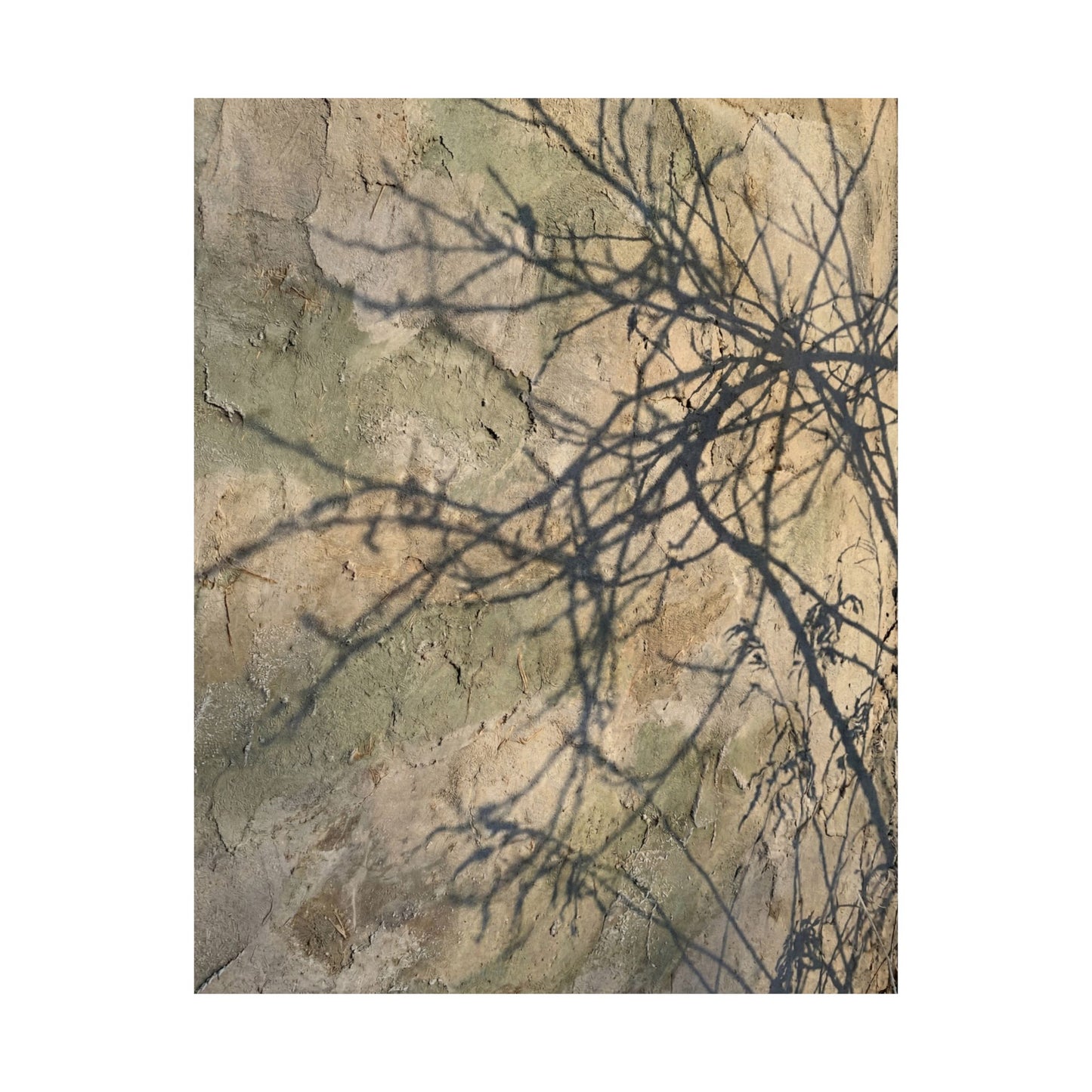 Shadow Play Winter Wall Art Print | Japandi Earthy Design