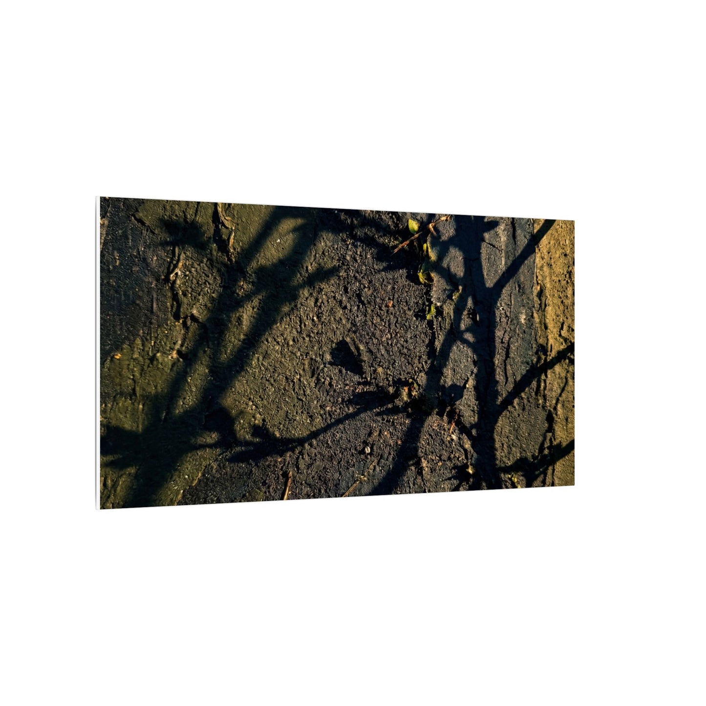 Kanso Shadow Play Canvas Art - Dark Japandi Dark Texture