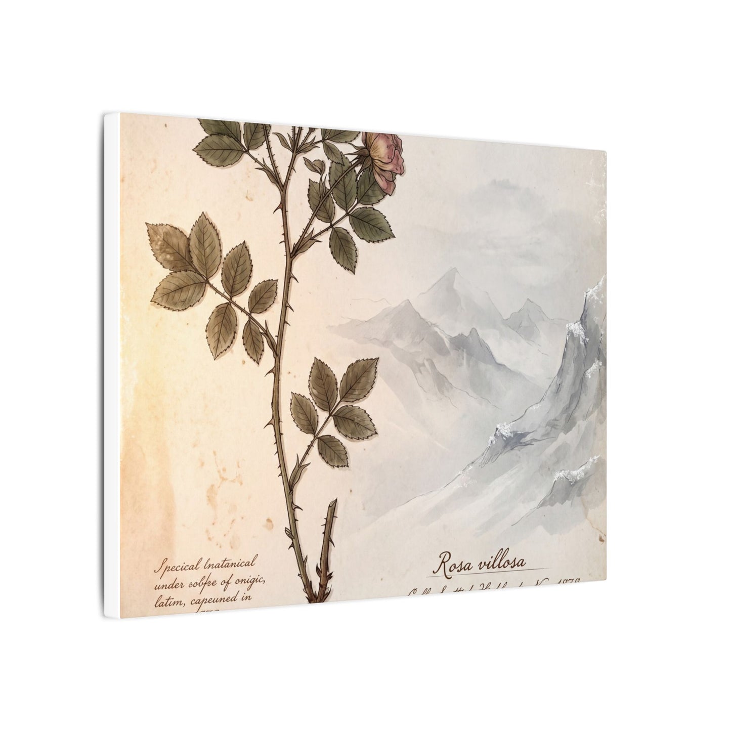 Winter Mountain Mist Herbarium Canvas Art | Earthy Decor