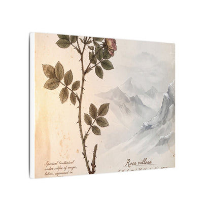 Winter Mountain Mist Herbarium Canvas Art | Earthy Decor