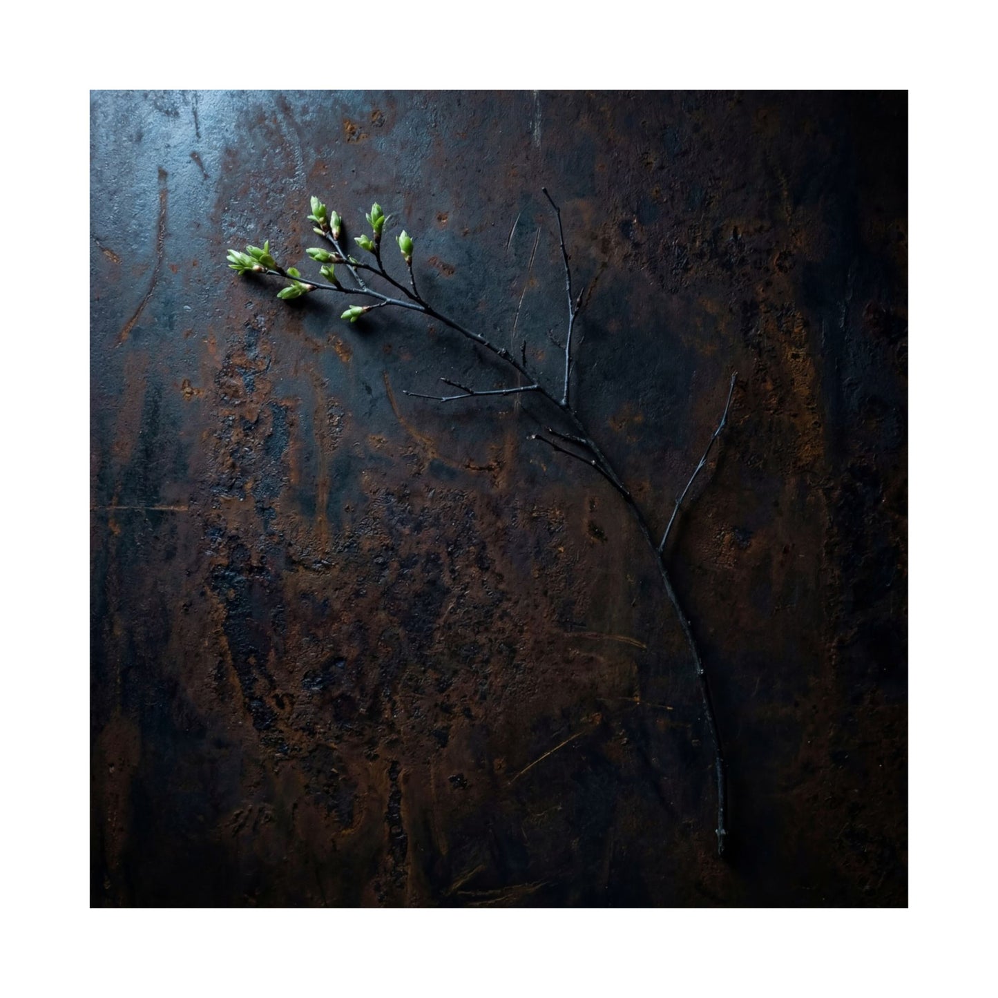 Rust Patina Spring Wall Art Print | Dark Japandi Sophisticated Design