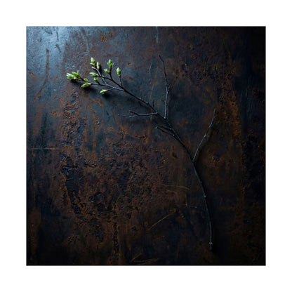Rust Patina Spring Wall Art Print | Dark Japandi Sophisticated Design