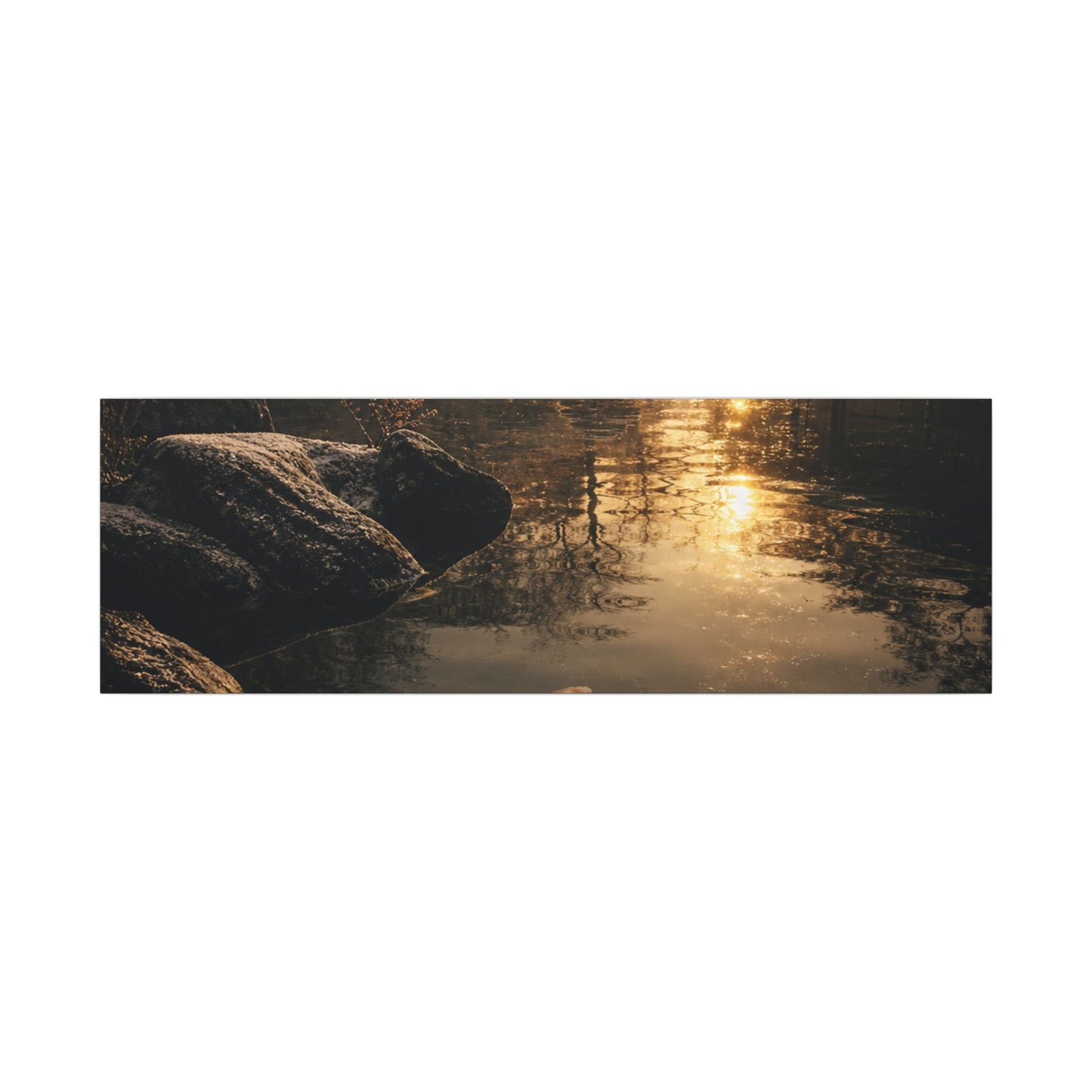 Winter Koi Pond Shadow Zen Canvas Art | Bold Decor