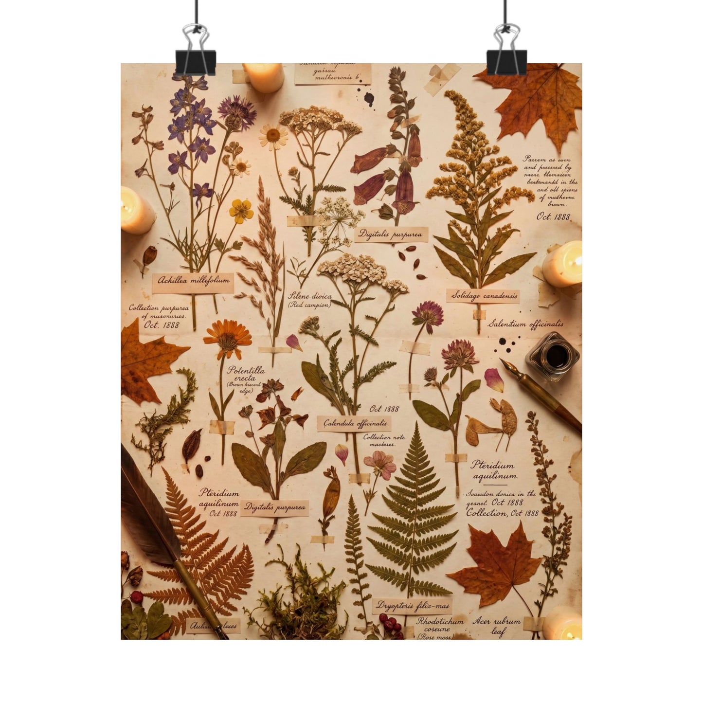 Autumn Dried Flowers Herbarium Wall Art Print | Earthy Decor