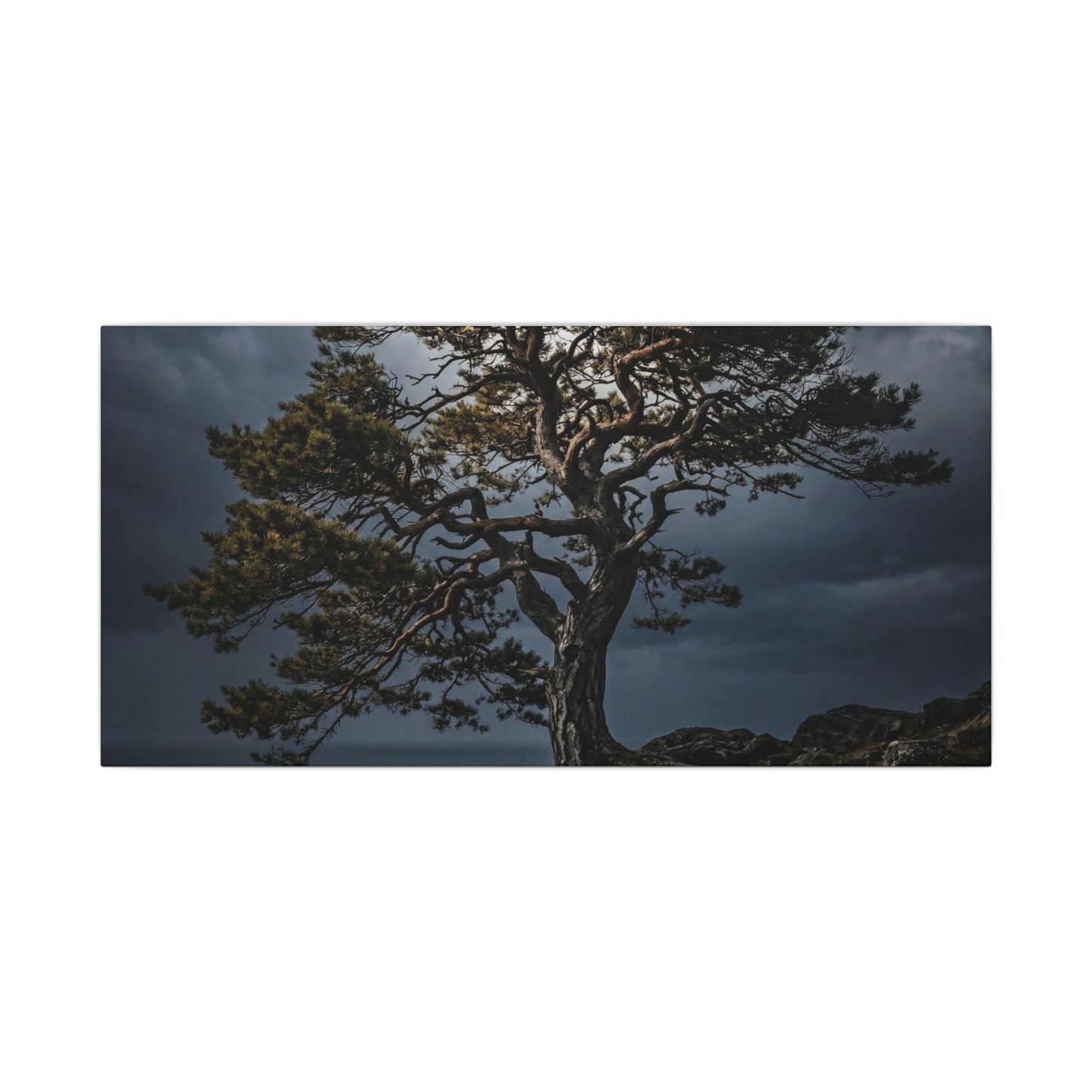 Dappled Pine Tree Canvas Art - Dark Japandi Fukinsei