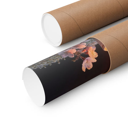 Cherry Blossom Wall Art Print | Winter Dark Japandi Moody Minimal Art