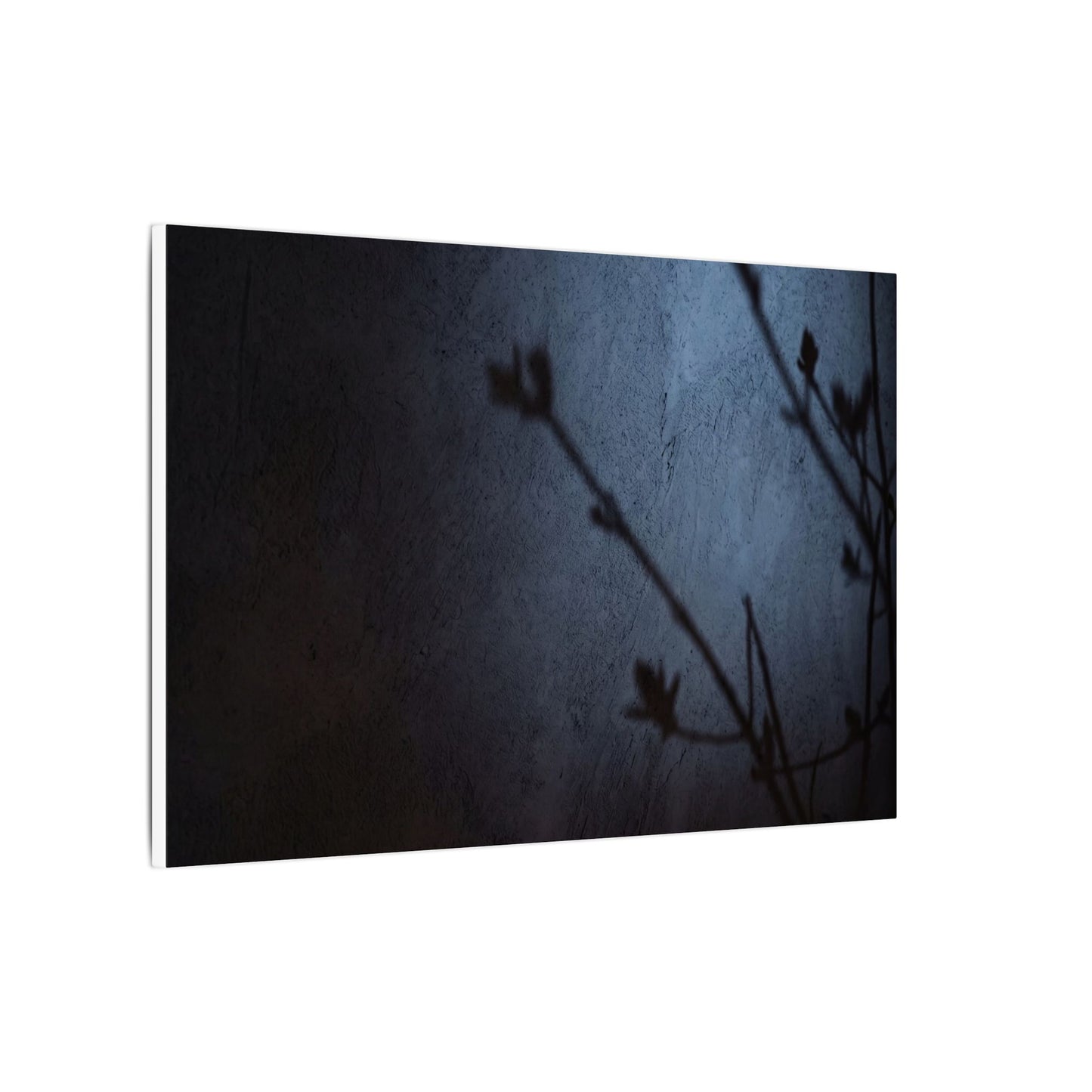 Shadow Play Canvas Art | Spring Dark Japandi Moody Minimal Art