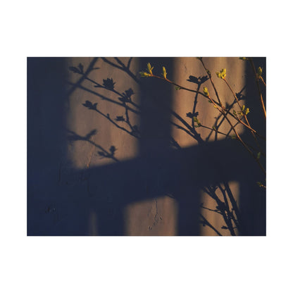 Shadow Play Canvas Art | Spring Dark Japandi Shadow Zen Art