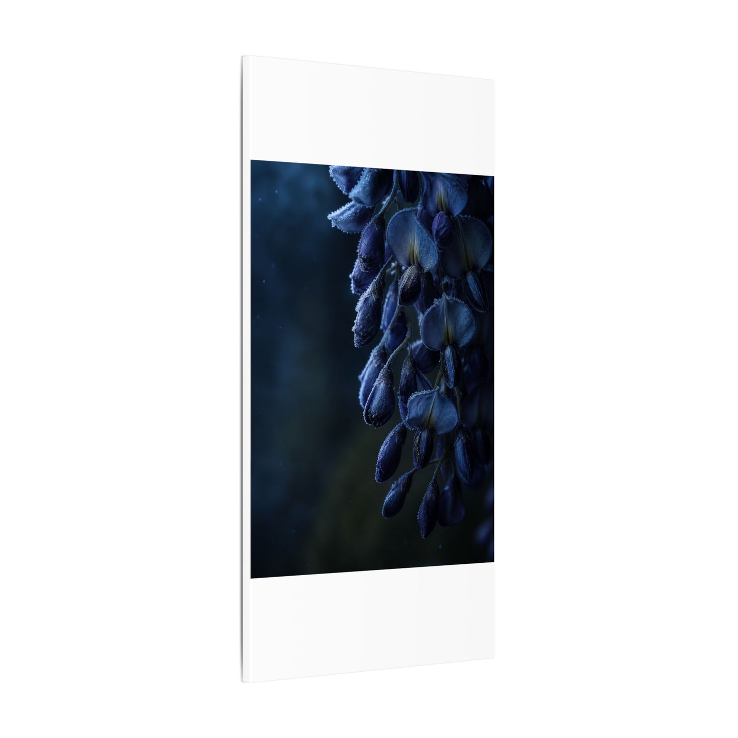 Winter Wisteria Shadow Zen Canvas Art | Atmospheric Decor