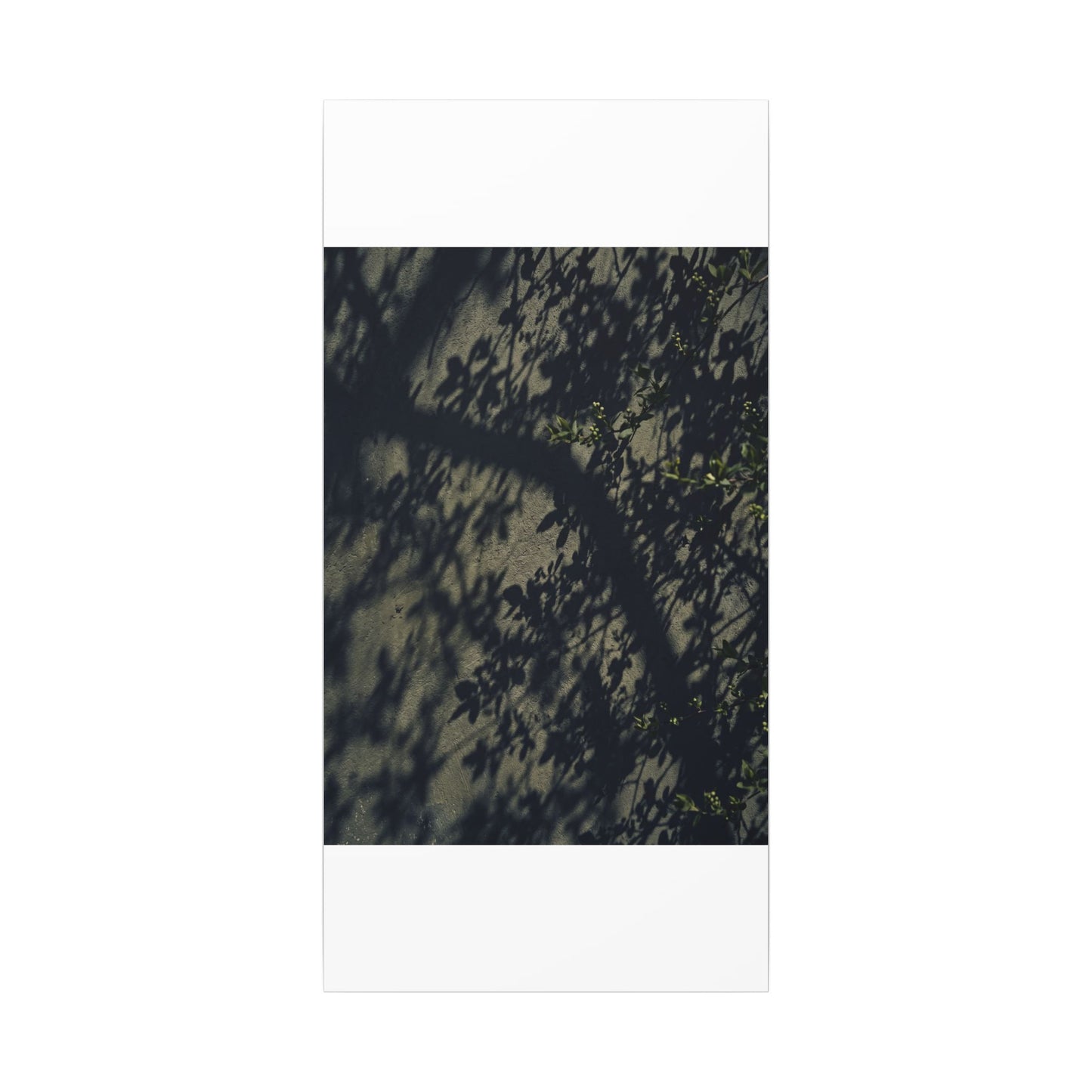 Atmospheric Shadow Play Canvas Art - Moody Minimal Dark Japandi