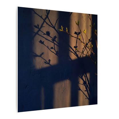 Shadow Play Canvas Art | Spring Dark Japandi Shadow Zen Art