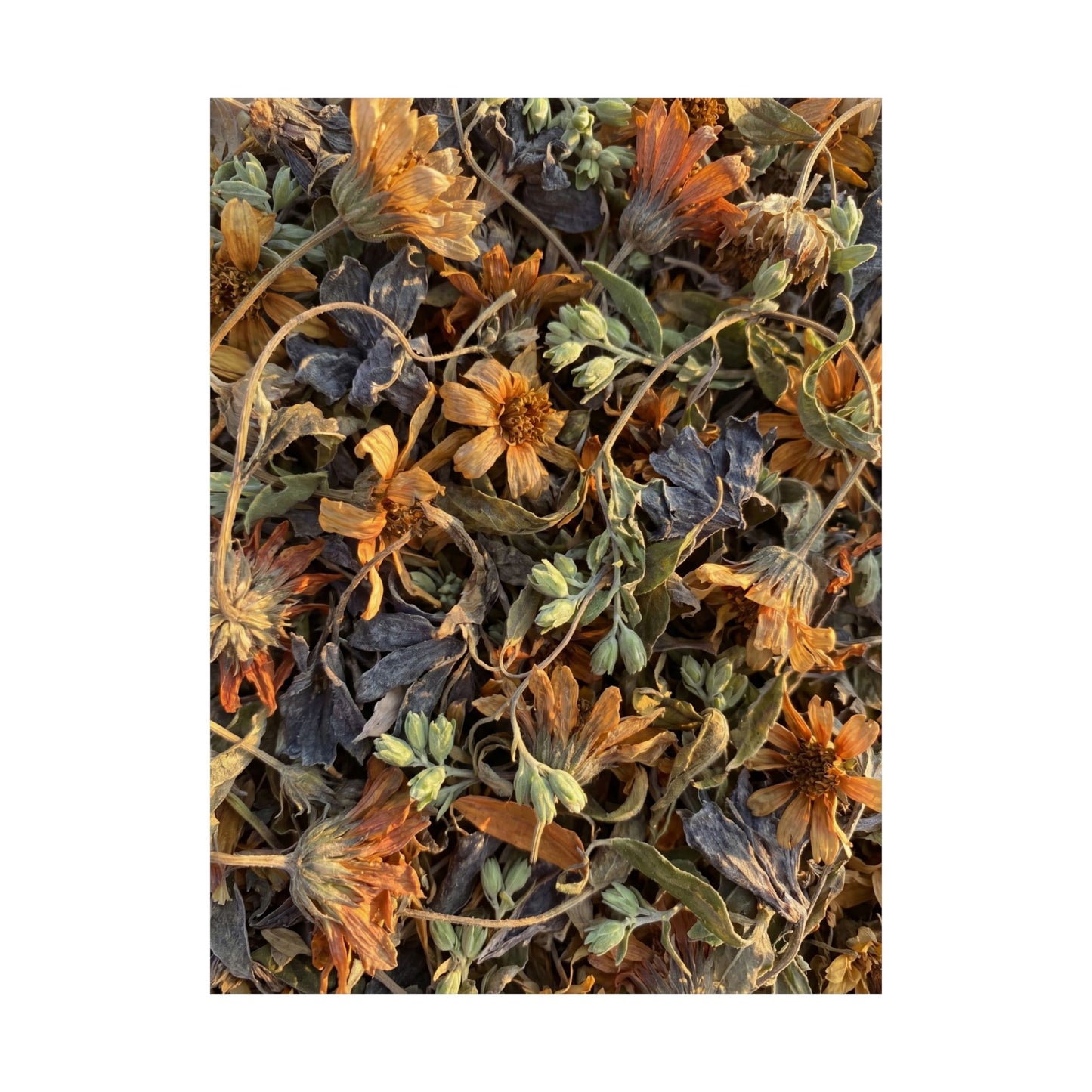 Spring Dried Flowers Japanese Pattern Wall Art Print | Warm Decor