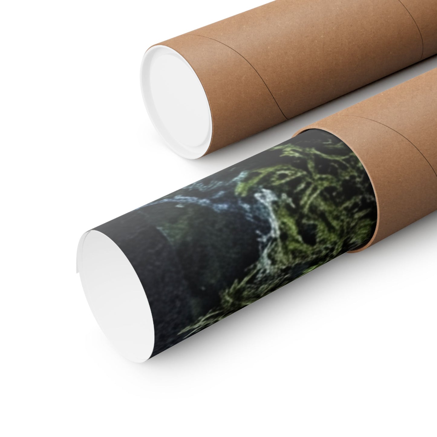 Moonlight Moss Close Up Wall Art Print - Dark Japandi Kanso