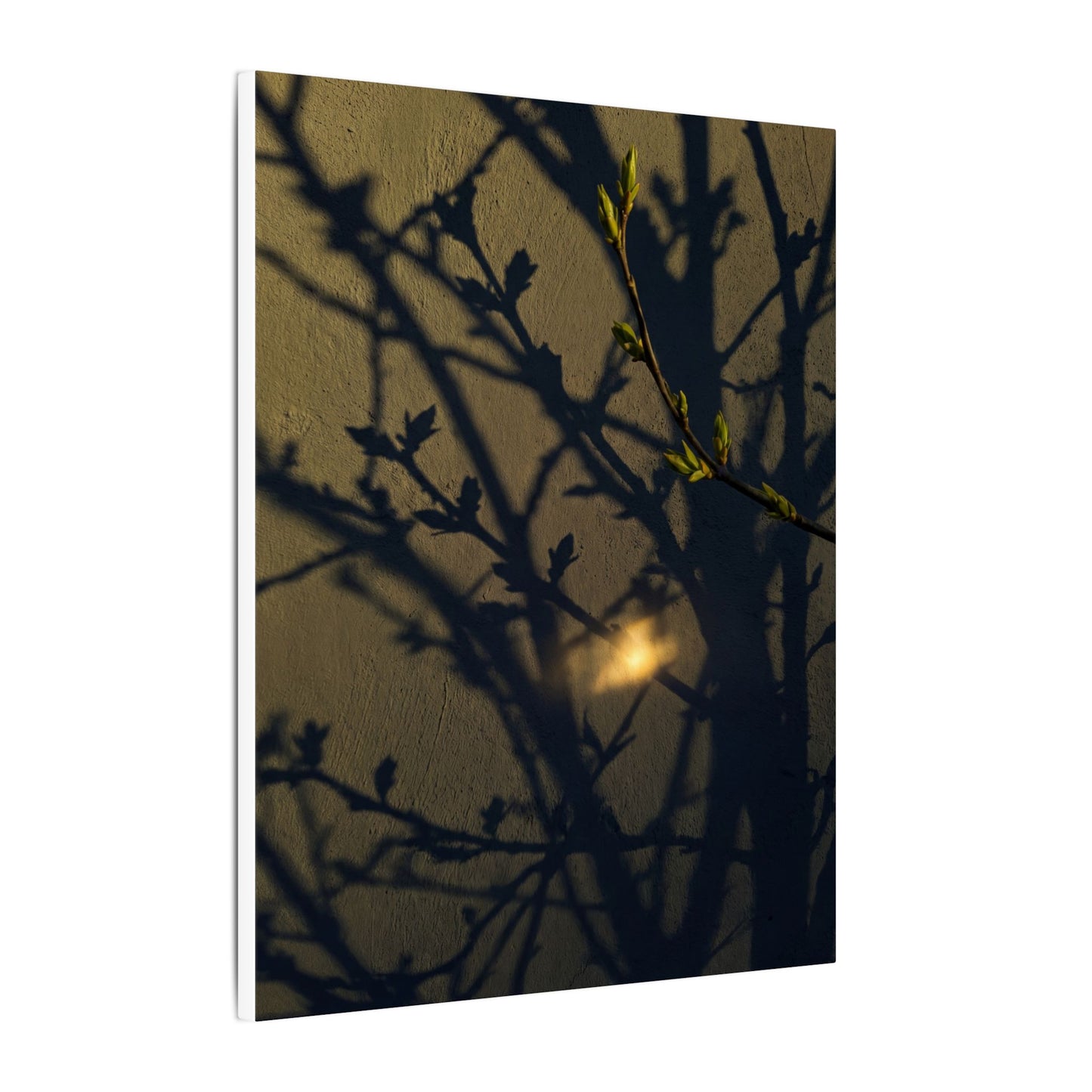 Bold Shadow Play Canvas Art - Moody Minimal Dark Japandi