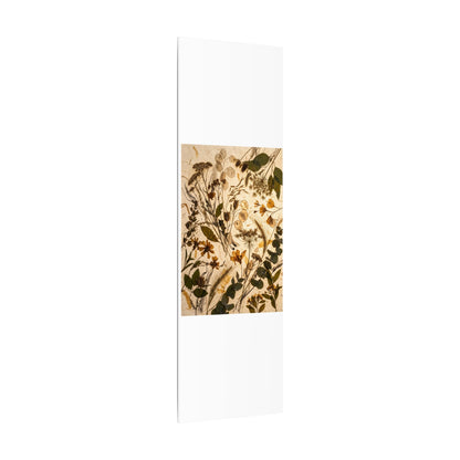 Dried Flowers Summer Canvas Art | Japandi Neutral Design
