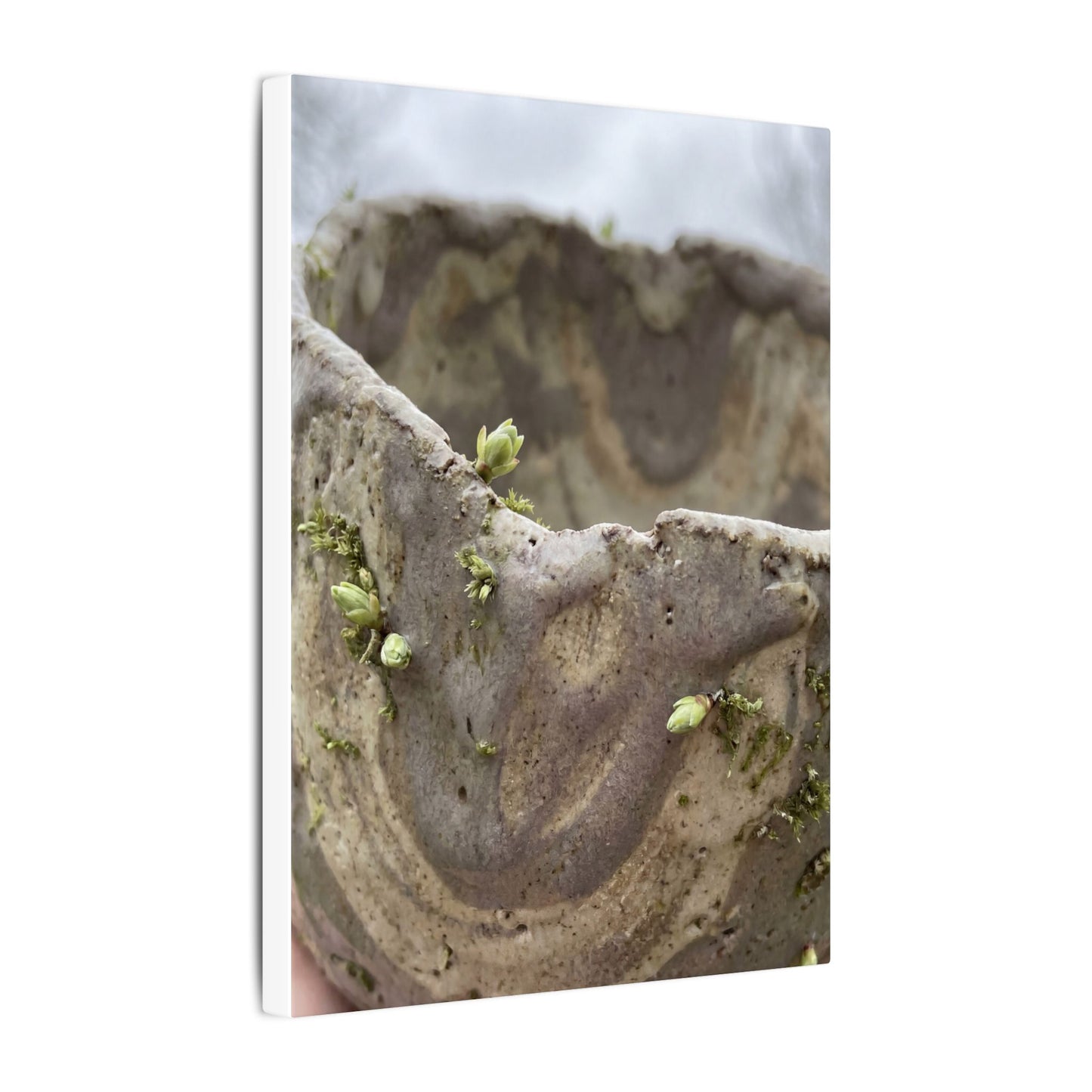 Overcast Ceramic Bowl Canvas Art - Japandi Fukinsei