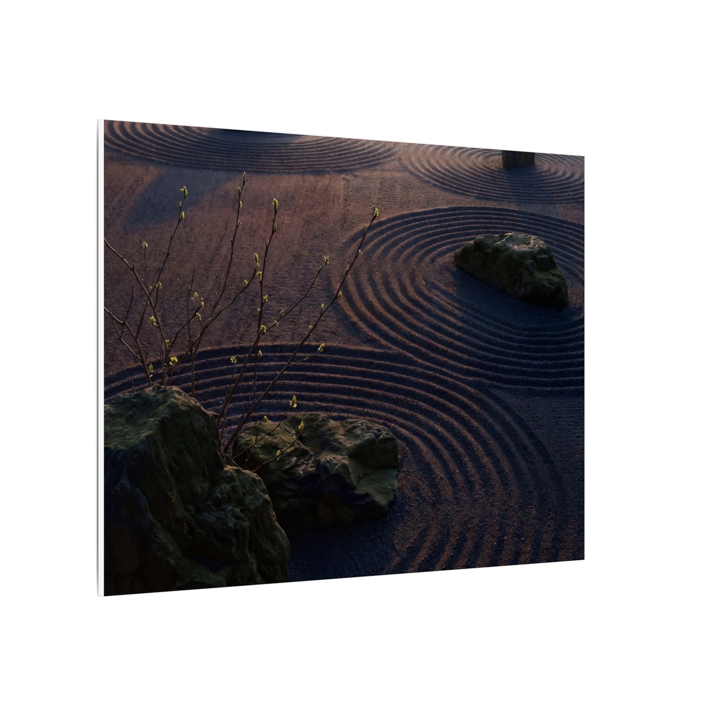 Spring Rock Garden Shadow Zen Canvas Art | Luxurious Decor