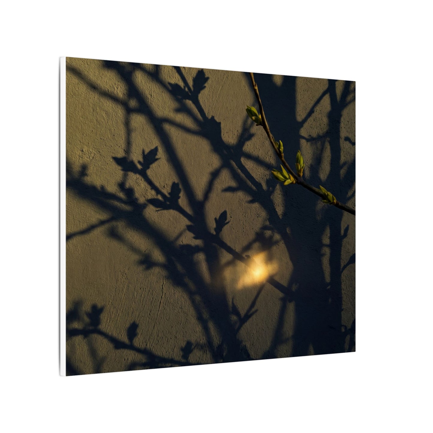 Bold Shadow Play Canvas Art - Moody Minimal Dark Japandi