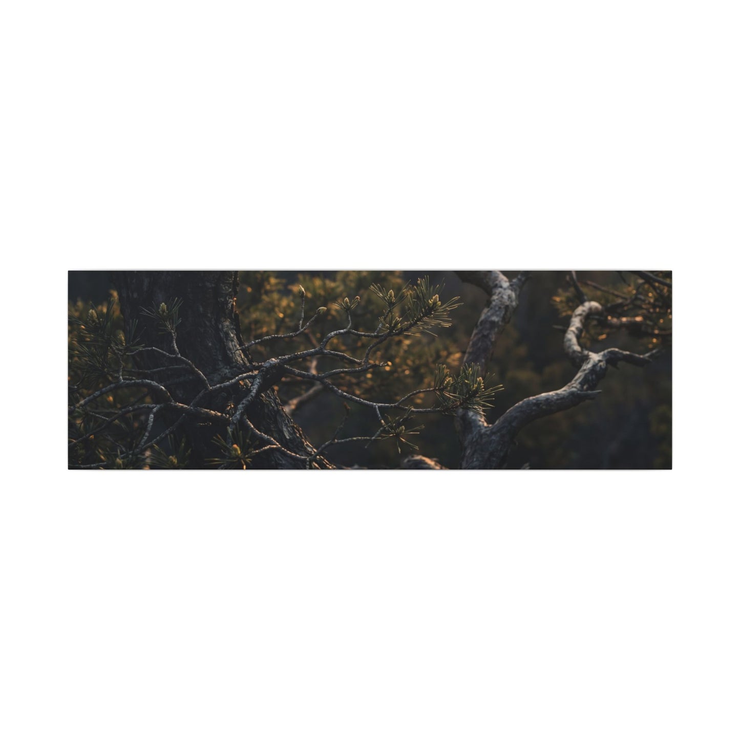 Moody Pine Tree Canvas Art - Moody Minimal Dark Japandi