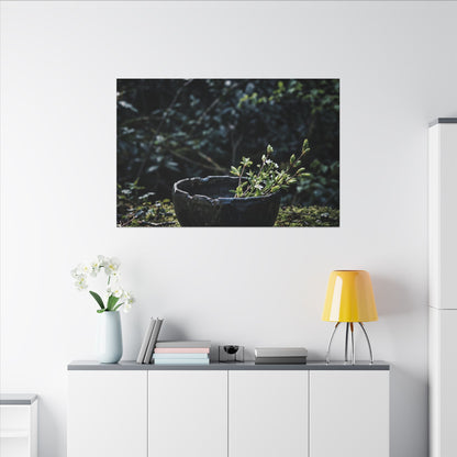 Dappled Ceramic Bowl Canvas Art - Dark Japandi Datsuzoku