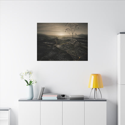 Dawn Cracked Earth Canvas Art - Dark Japandi Mono No Aware