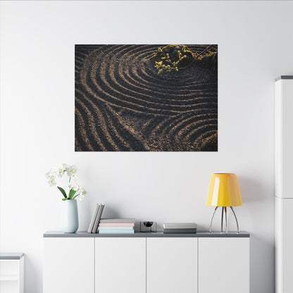 Spring Rock Garden Shadow Zen Canvas Art | Atmospheric Decor
