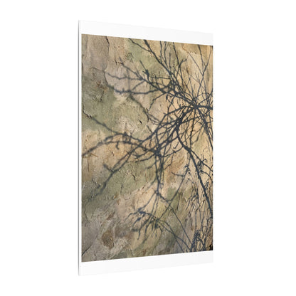 Japandi Shadow Play in Golden Hour | Texture Canvas Art