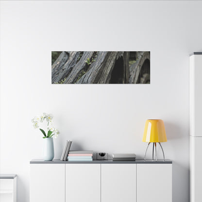 Overcast Wooden Bridge Canvas Art - Japandi Kanso