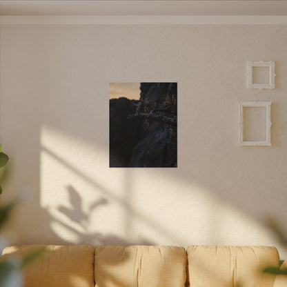 Pine Tree Moody Minimal Canvas Art | Sophisticated Dark Japandi Art