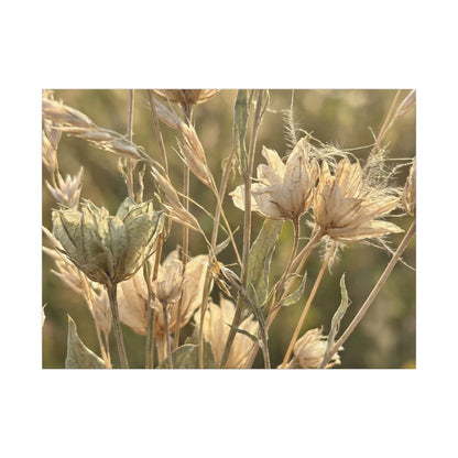 Summer Dried Flowers Minimal Line Canvas Art | Cozy Decor Art Print