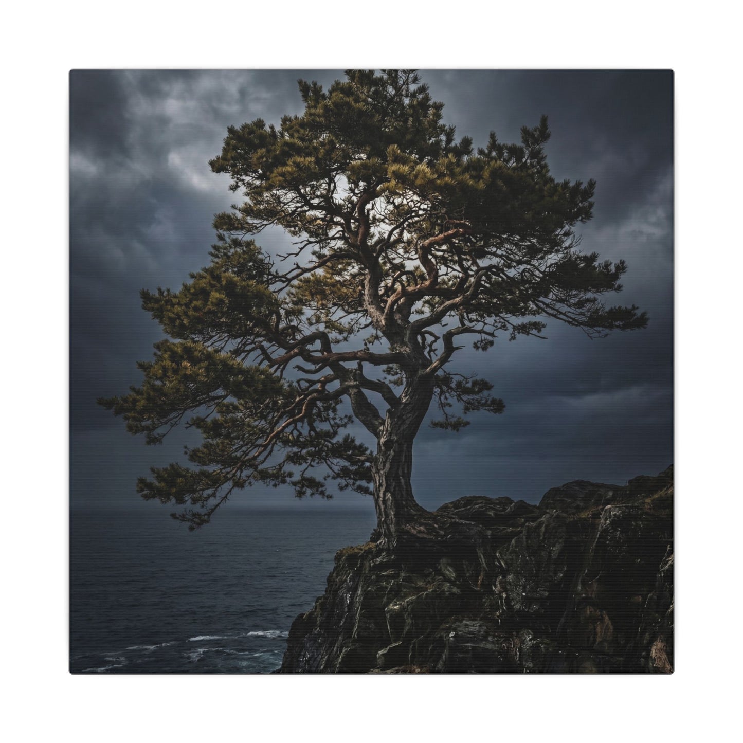 Dappled Pine Tree Canvas Art - Dark Japandi Fukinsei