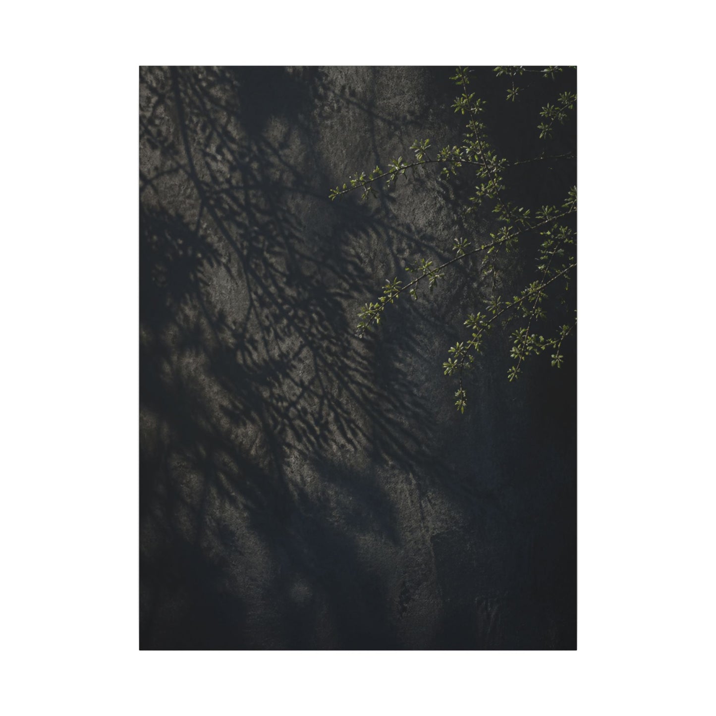 Overcast Shadow Play Canvas Art - Dark Japandi Seijaku