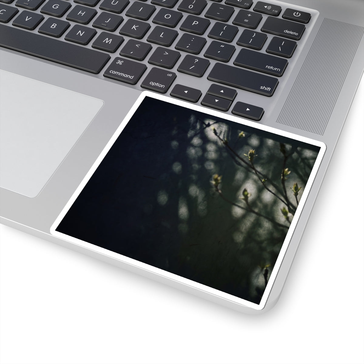 Shoji Screen Sticker | Spring Dark Japandi Moody Minimal Art Art Print